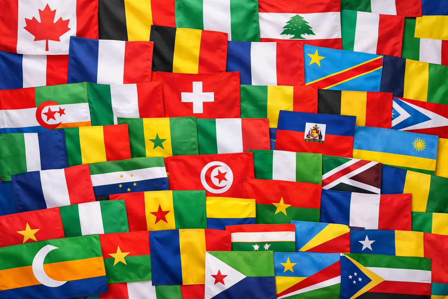 First French Question Bank for PEBC Qualifying Exam Part 1